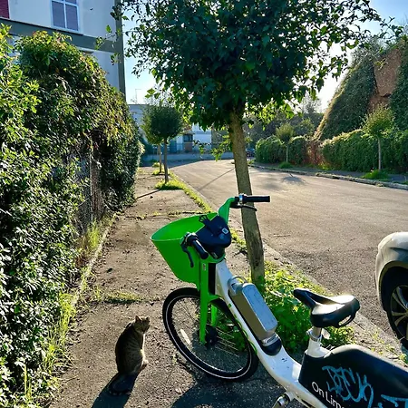 Italian Luxury Apartamento