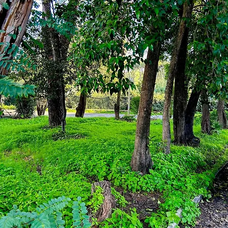 Italian Luxury Apartamento