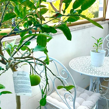 Italian Luxury Apartamento Roma